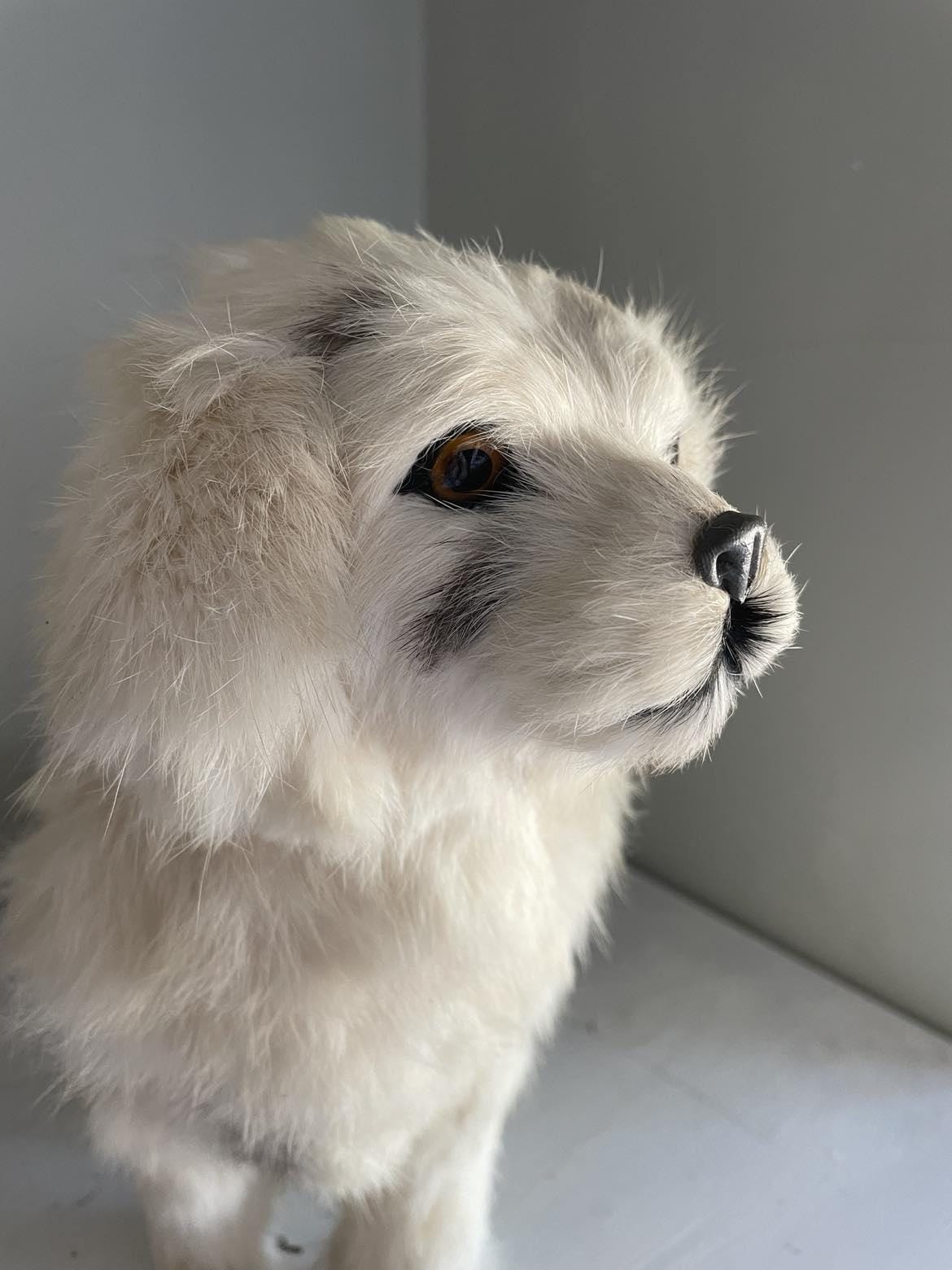 Vintage Dog made from rabbit fur