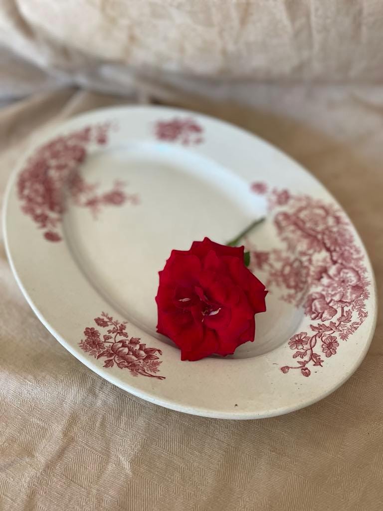Bertrand Bordeaux ironstone oval plate - Anemone
