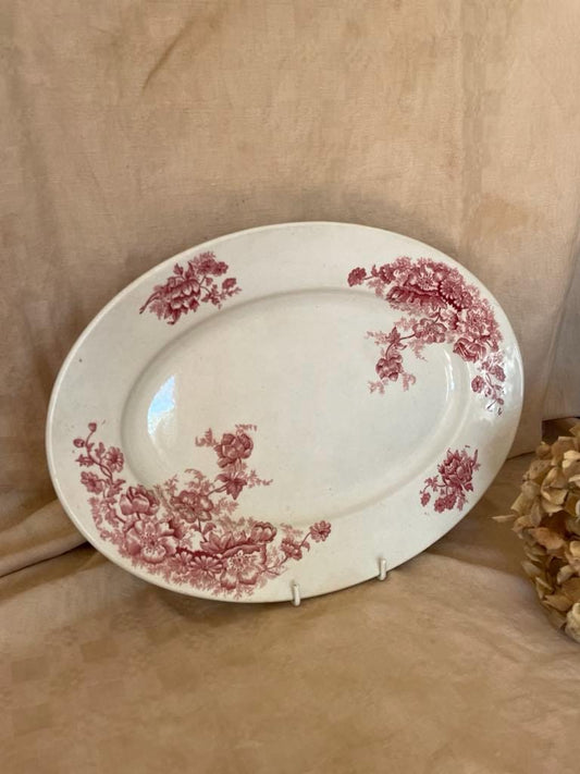 Bertrand Bordeaux ironstone oval plate - Anemone