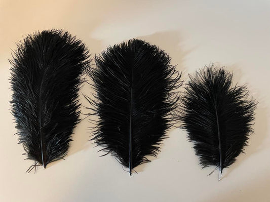 Set of three black Ostrich feathers