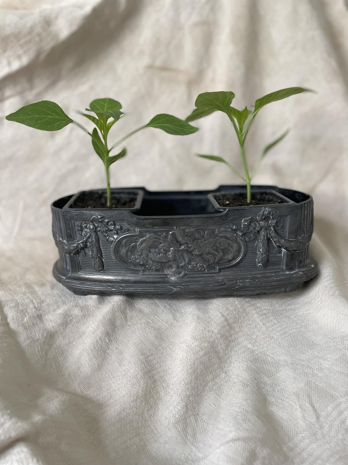 Christofle Gallia Silver plated Jardiniere / table centre piece. Model 4847