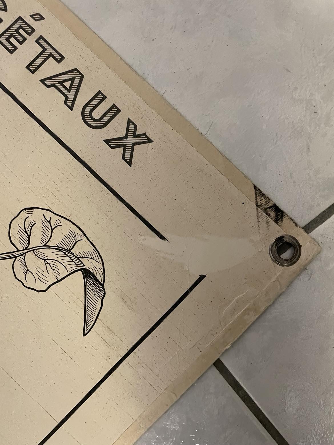 Vintage French School Poster: Fruit & Vegetable Reproduction, Dirand Carron No 21