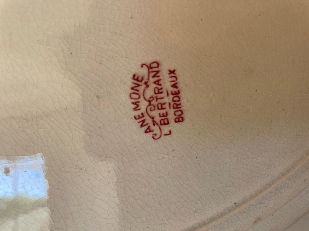 Bertrand Bordeaux ironstone oval plate - Anemone