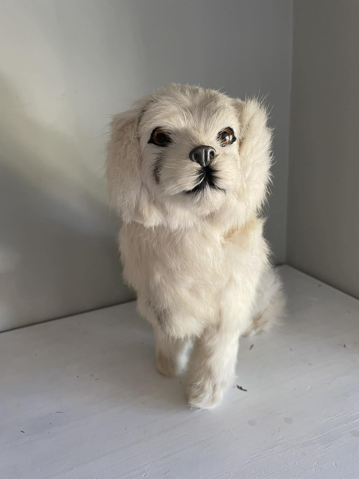 Vintage Dog made from rabbit fur