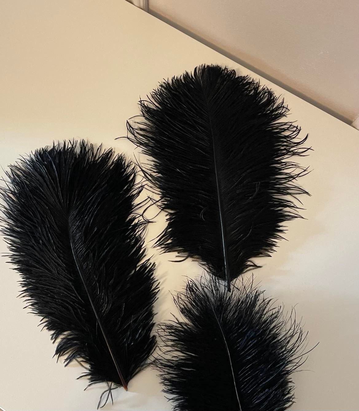 Set of three black Ostrich feathers