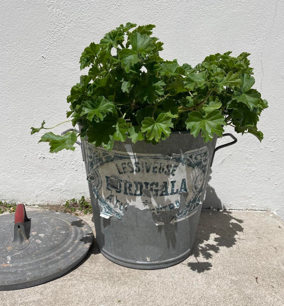 Galvanized Lessiveuse - early washing "machine"