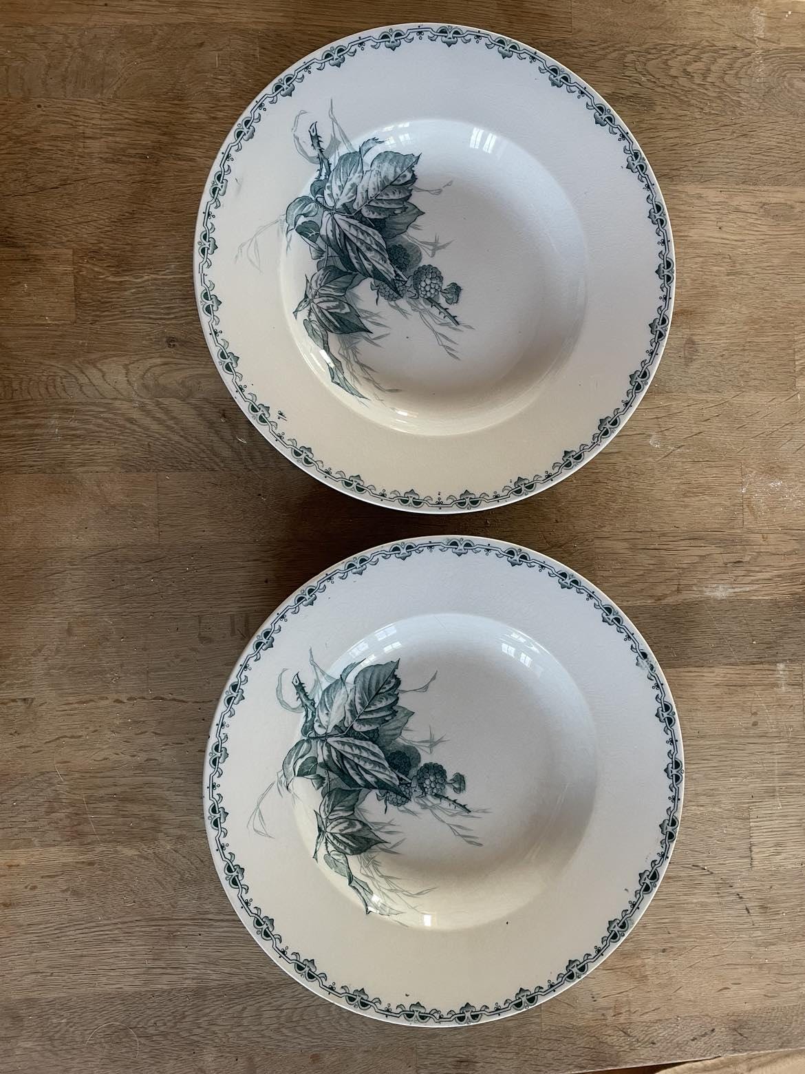 A pair Sarreguemines U &C "Mures" soup plates/ shallow plates