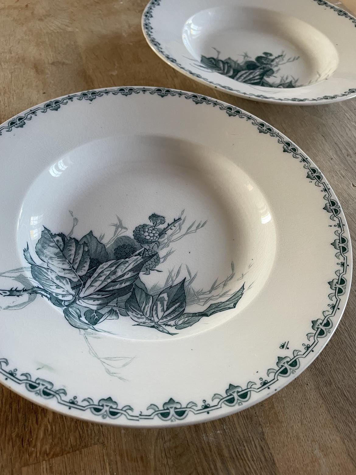 A pair Sarreguemines U &C "Mures" soup plates/ shallow plates