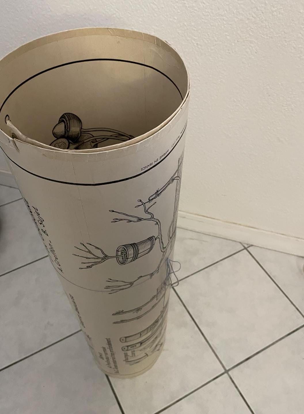 Vintage French School Poster: Fruit & Vegetable Reproduction, Dirand Carron No 21