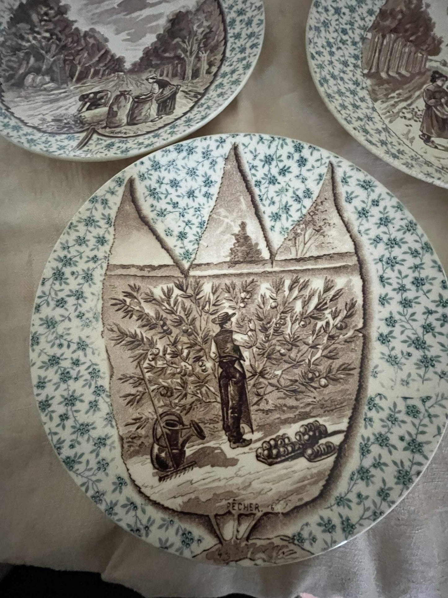A set of 5 Antique Sarreguemines U.C  display plates - Fruit trees/ Harvest