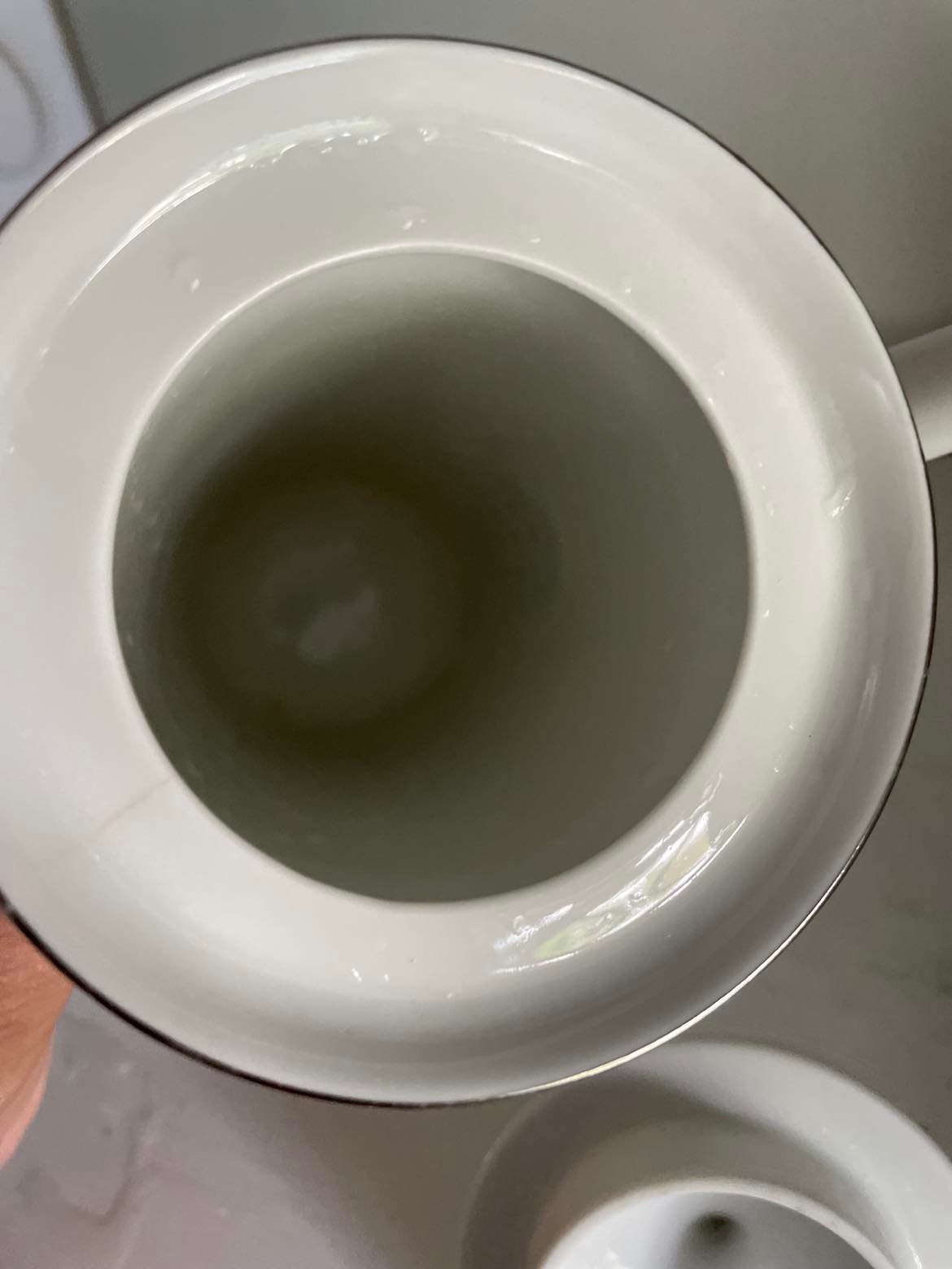 Vintage Rosenthal Studio Line Coffee Set: Platinum Trim Porcelain