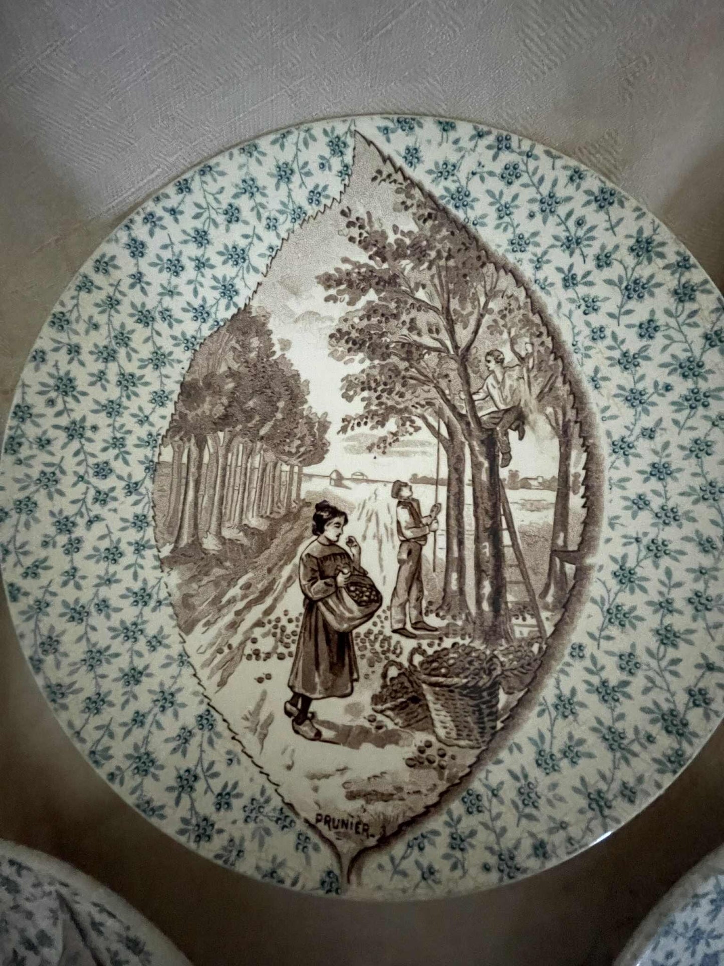 A set of 5 Antique Sarreguemines U.C  display plates - Fruit trees/ Harvest