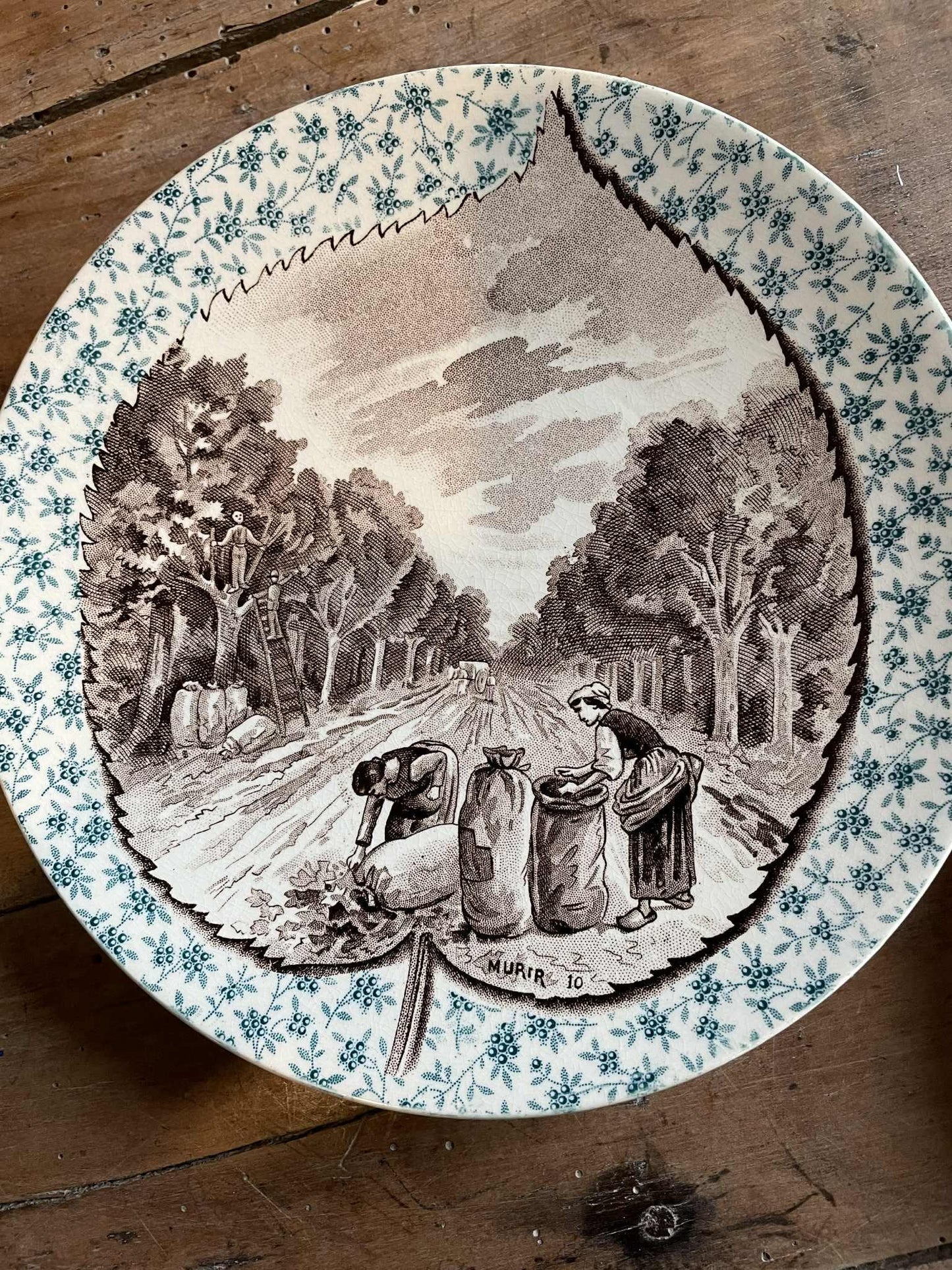 A set of 5 Antique Sarreguemines U.C  display plates - Fruit trees/ Harvest