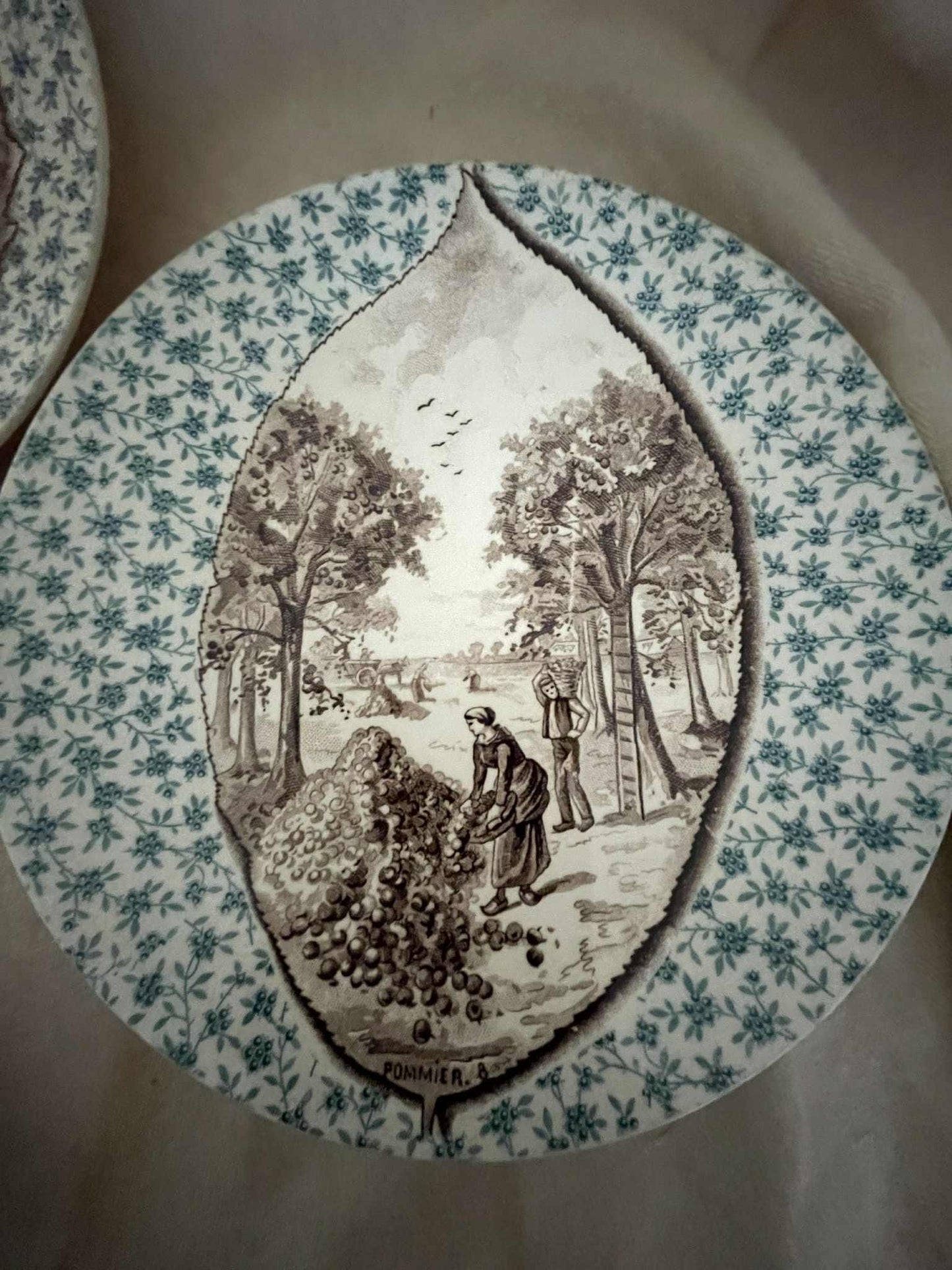 A set of 5 Antique Sarreguemines U.C  display plates - Fruit trees/ Harvest