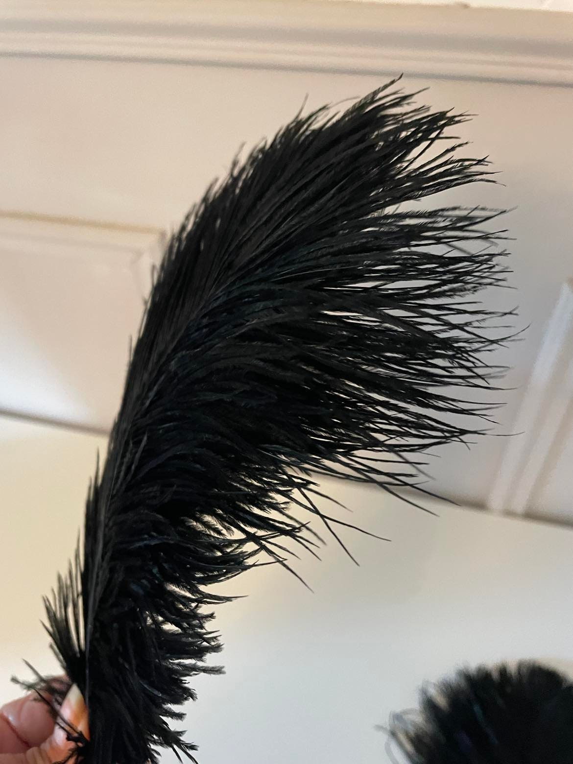 Set of three black Ostrich feathers