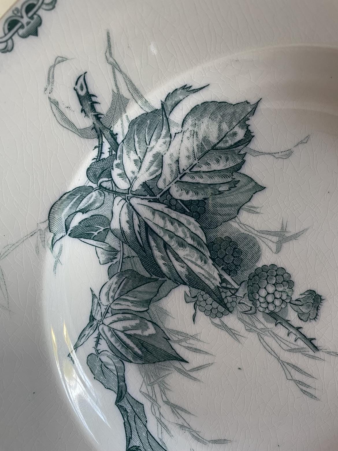 A pair Sarreguemines U &C "Mures" soup plates/ shallow plates