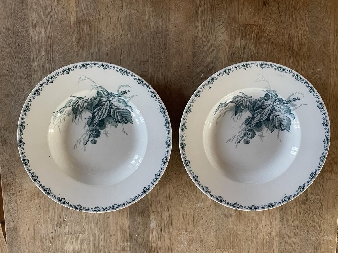 A pair Sarreguemines U &C "Mures" soup plates/ shallow plates