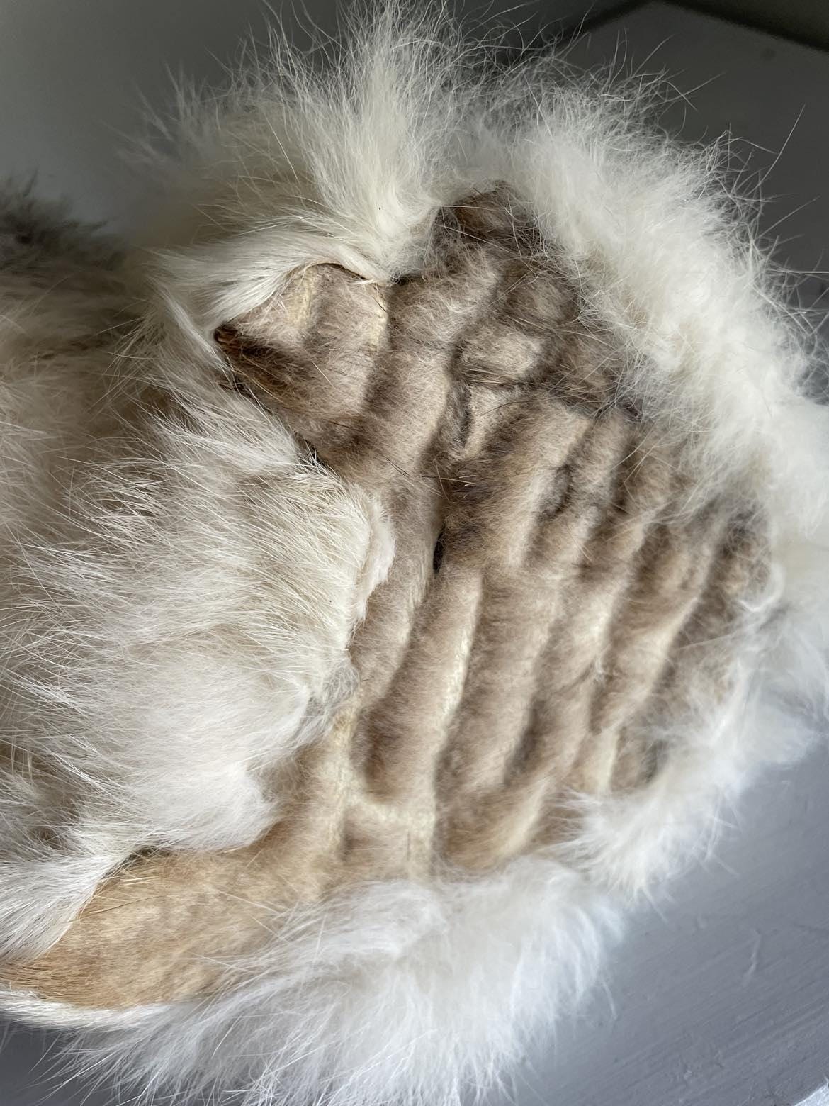 Vintage Dog made from rabbit fur