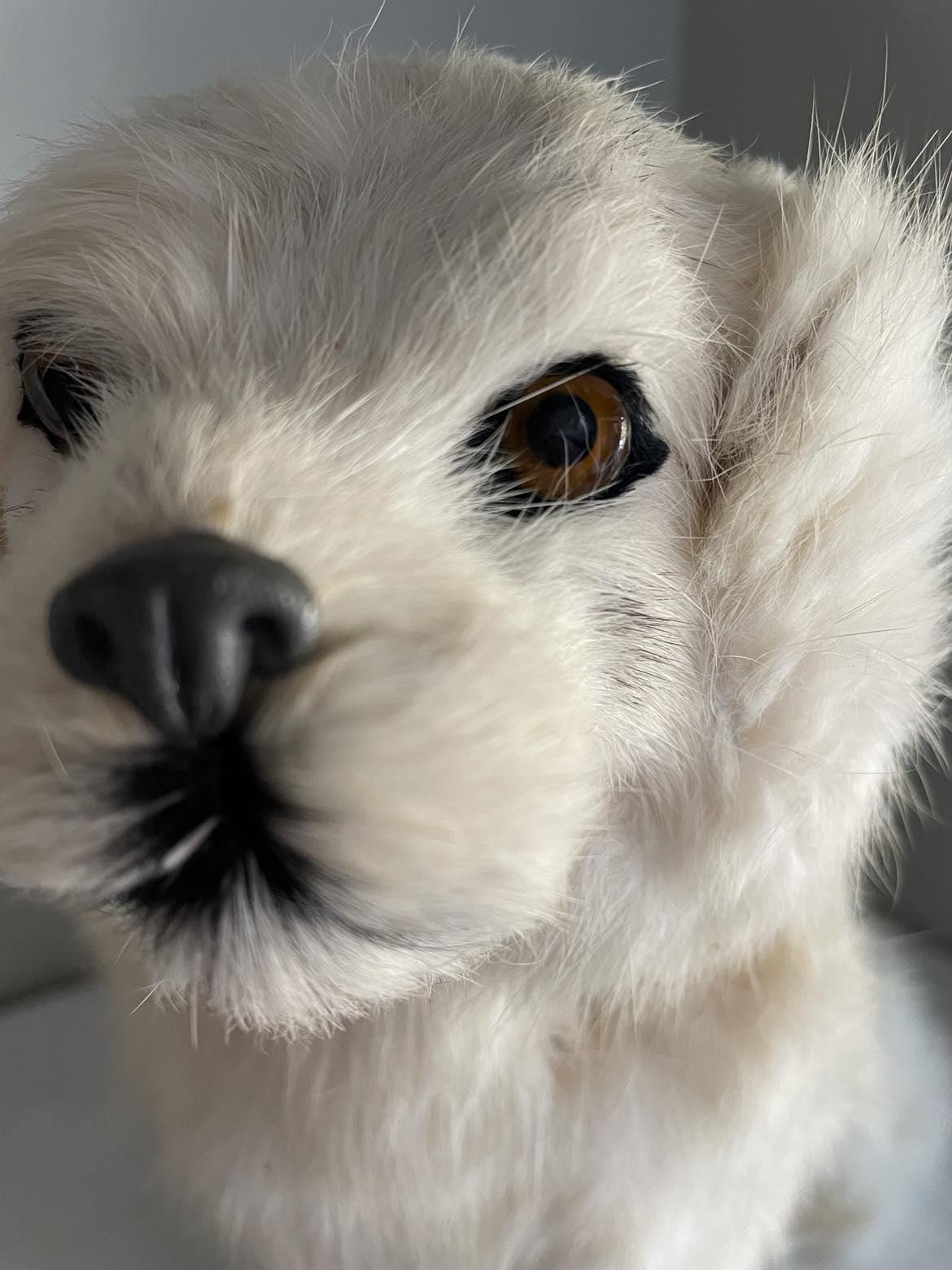 Vintage Dog made from rabbit fur