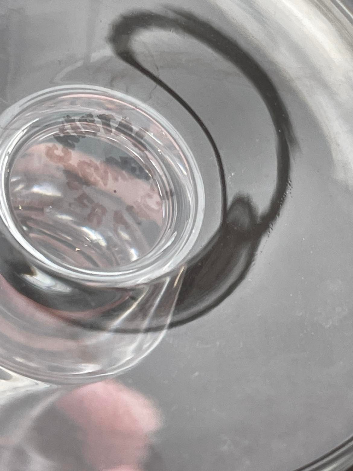 Cristal de Sèvres  set of 6 signed Sevres Crystal  Liqueur glasses