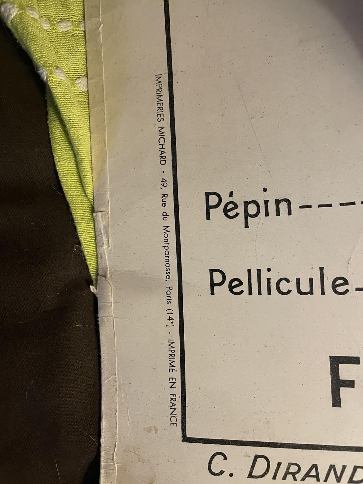 Vintage French School Poster: Fruit & Vegetable Reproduction, Dirand Carron No 21