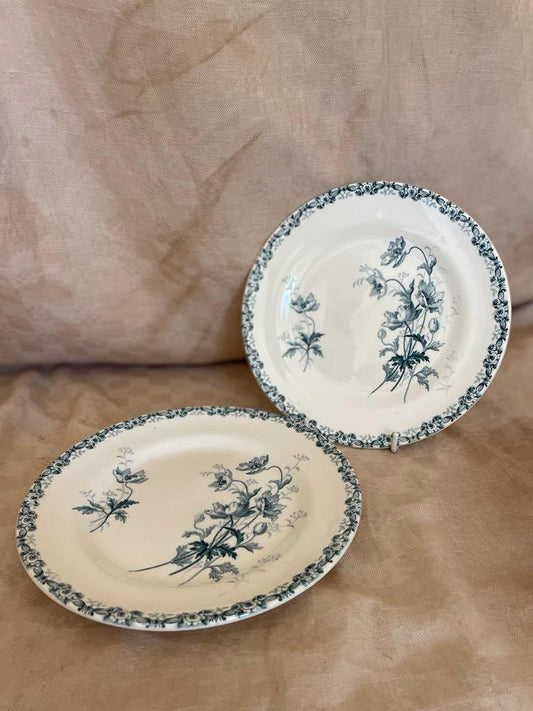 Set of 2 Antique Ironstone plates 'A l'economie menagere' pattern Niel