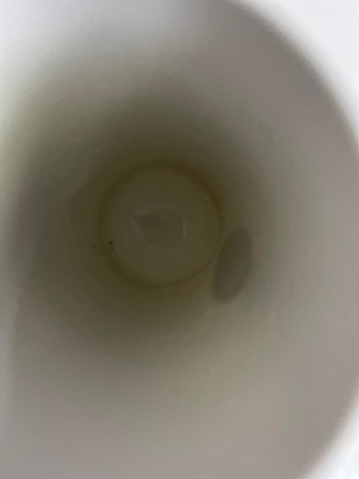 Vintage Rosenthal Studio Line Coffee Set: Platinum Trim Porcelain