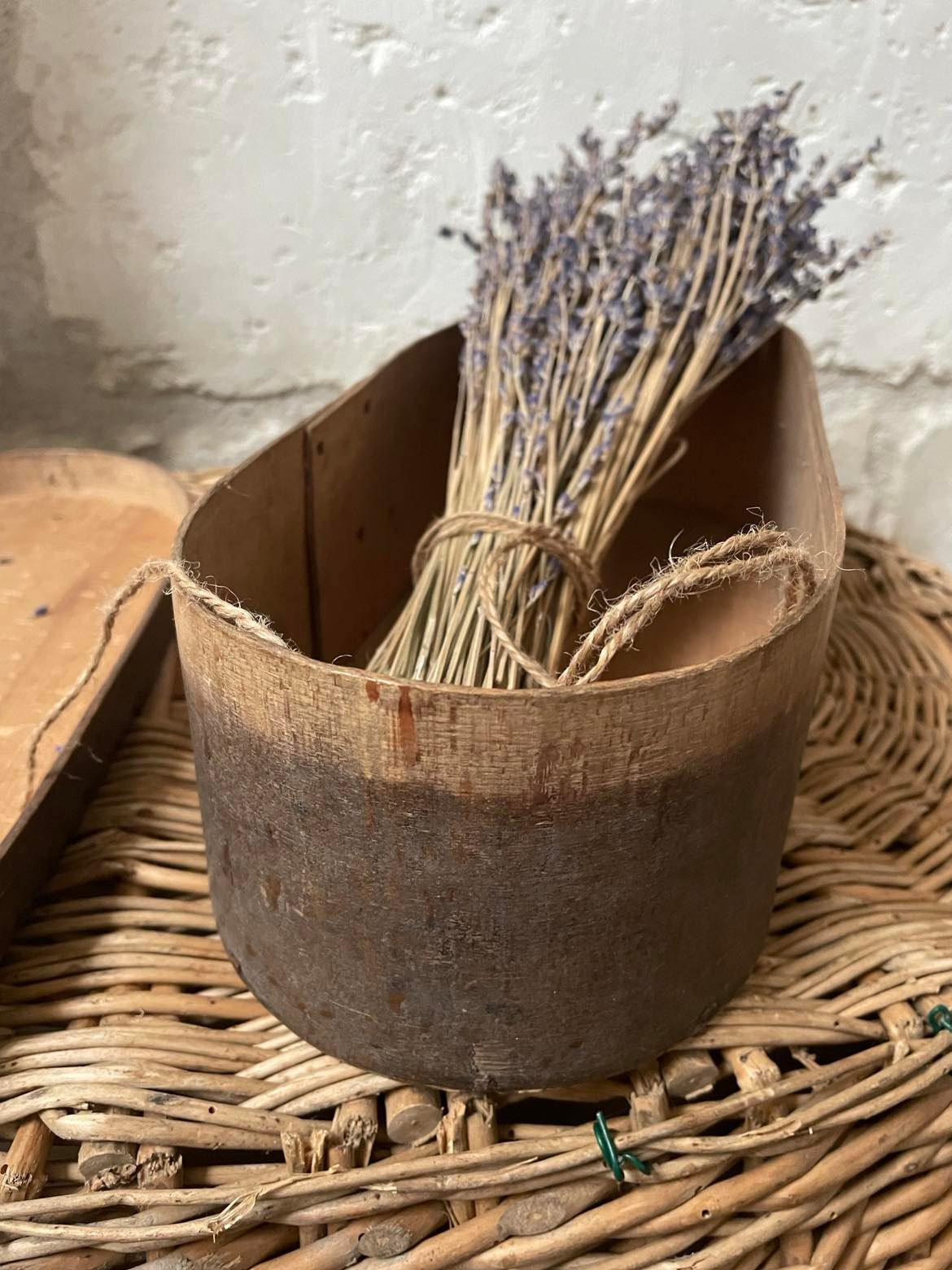 Antique bentwood handmade  madeleine/  pantry/ storage box -