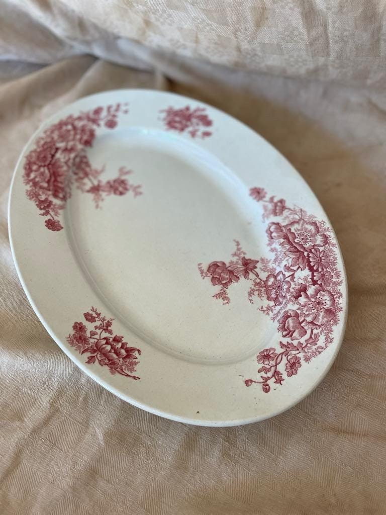 Bertrand Bordeaux ironstone oval plate - Anemone