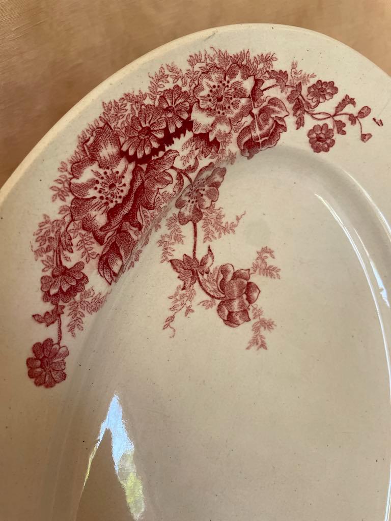 Bertrand Bordeaux ironstone oval plate - Anemone