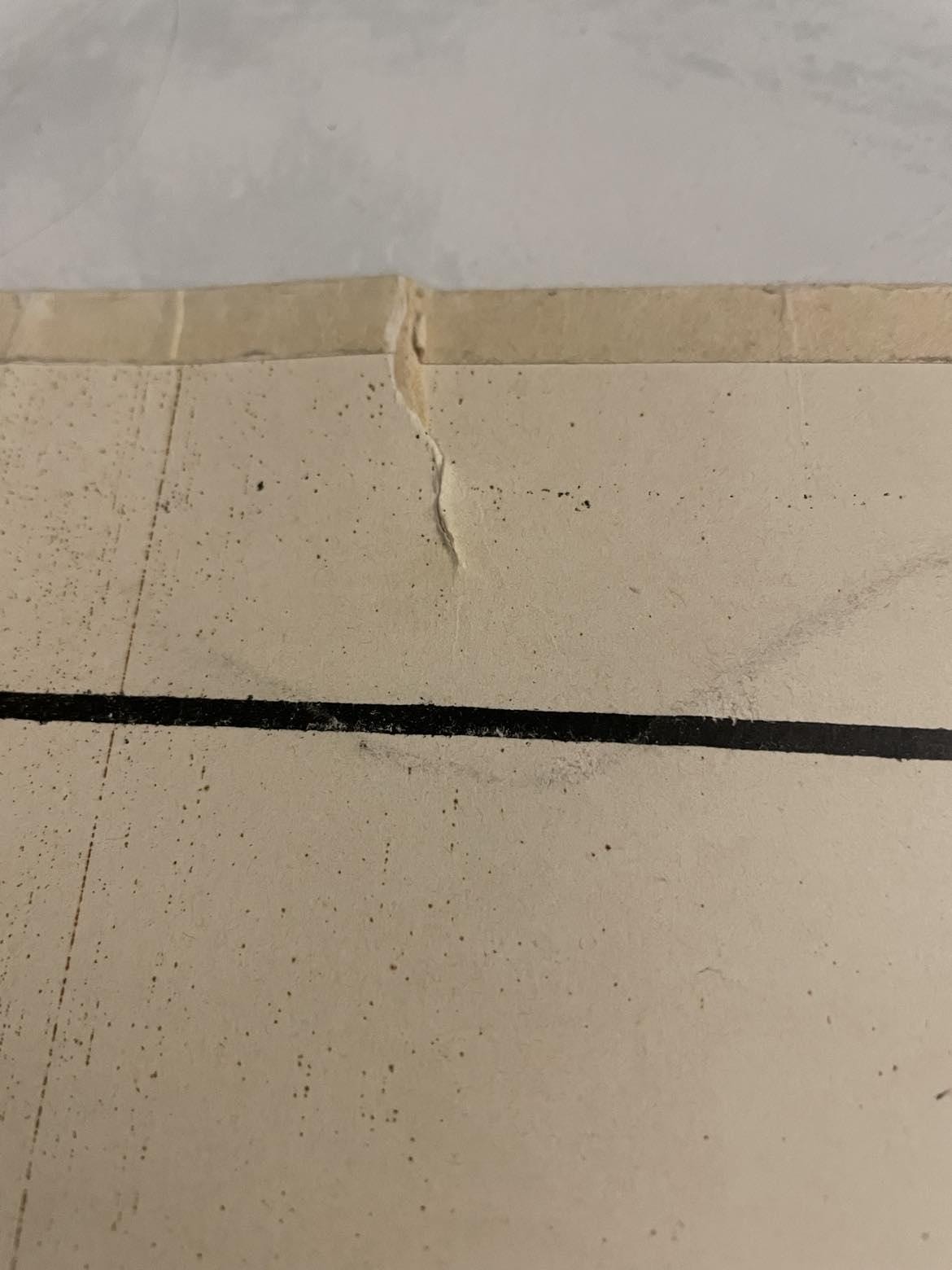 Vintage French School Poster: Fruit & Vegetable Reproduction, Dirand Carron No 21